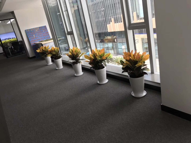 如何選擇一家專業的花卉租擺公司？