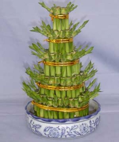 室內花卉租賃應該精心挑選以保護健康的花卉植物為主-北京世紀匯通園藝有限公司