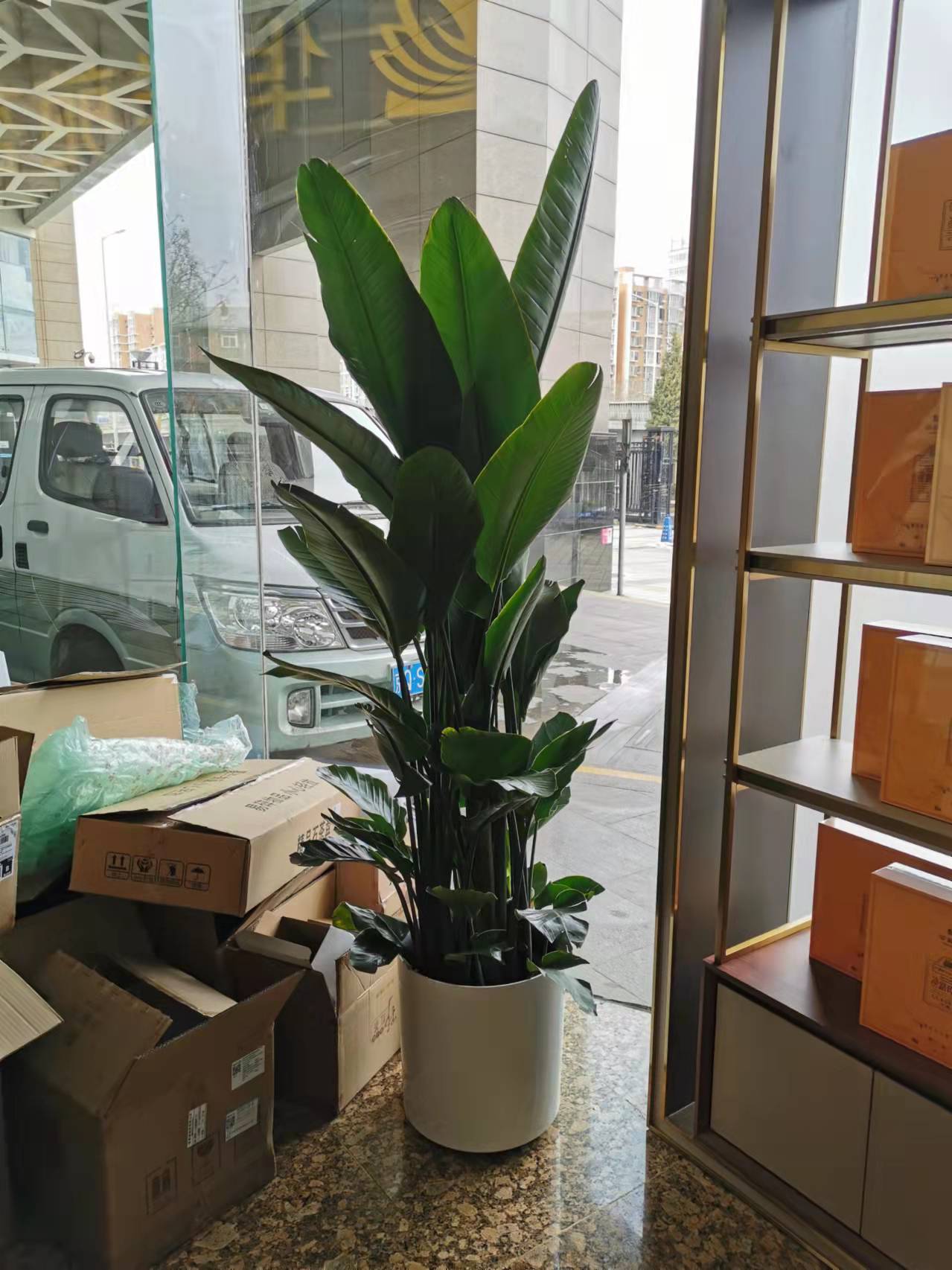 海淀區花卉租擺公司天蓮大廈綠植租擺公司