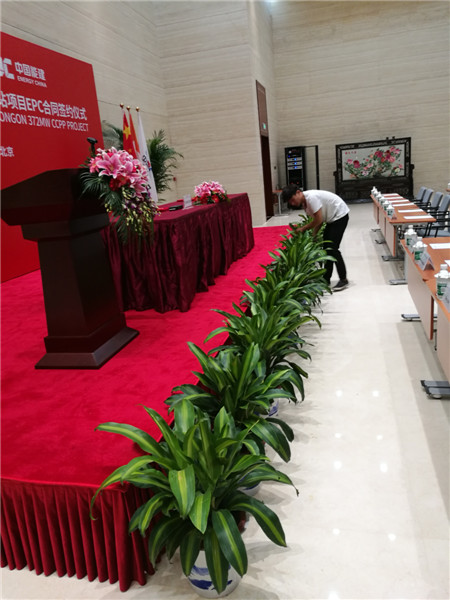 西城區綠植租擺西城區綠植租賃公司西城區綠植租賃專業公司