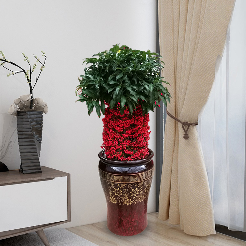 養花該如何給土壤殺蟲？4個小方法，既能省錢又讓花卉長得更好