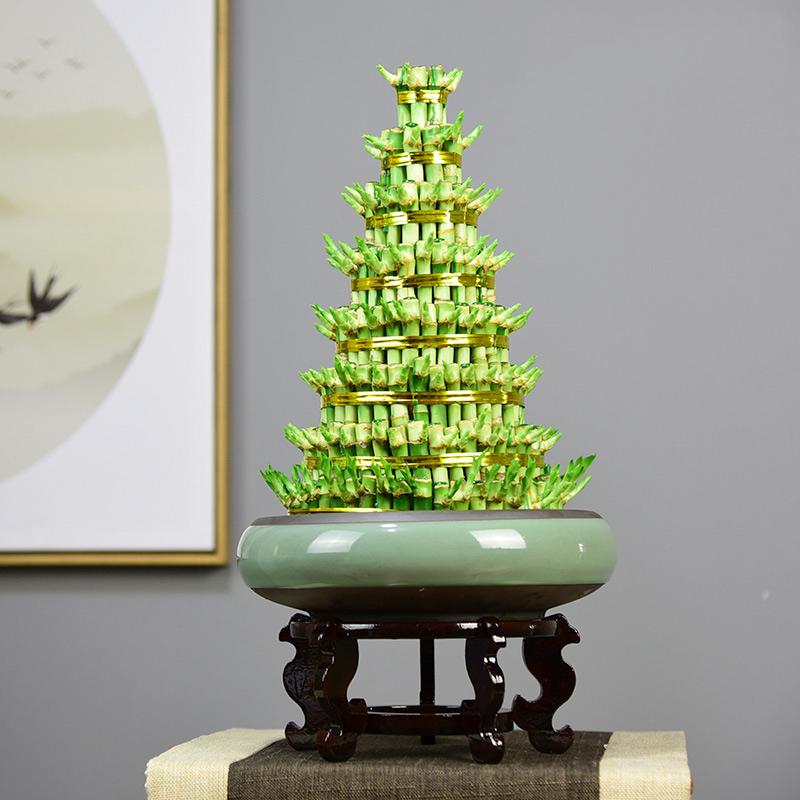 北京花卉養護知識碰碰香怎么施肥