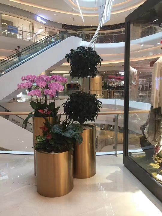 寫(xiě)字樓花卉租擺