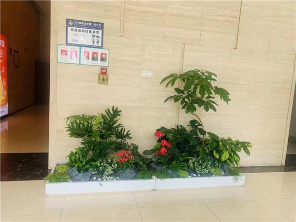 北京大興區(qū)綠植租擺公司亦莊辦公室綠植租賃園林綠化